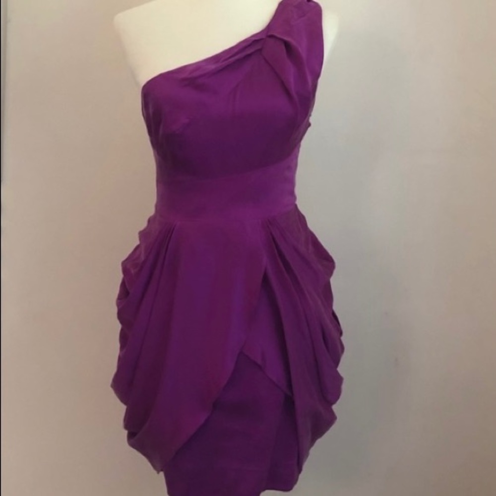 100% Silk Bebe Dress